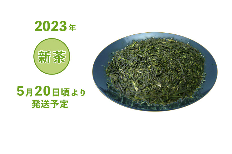 2023年 静岡牧之原 新茶 深蒸し茶 煎茶 あさつゆ 袋詰め 100g・200g・500g 5/20頃より発送