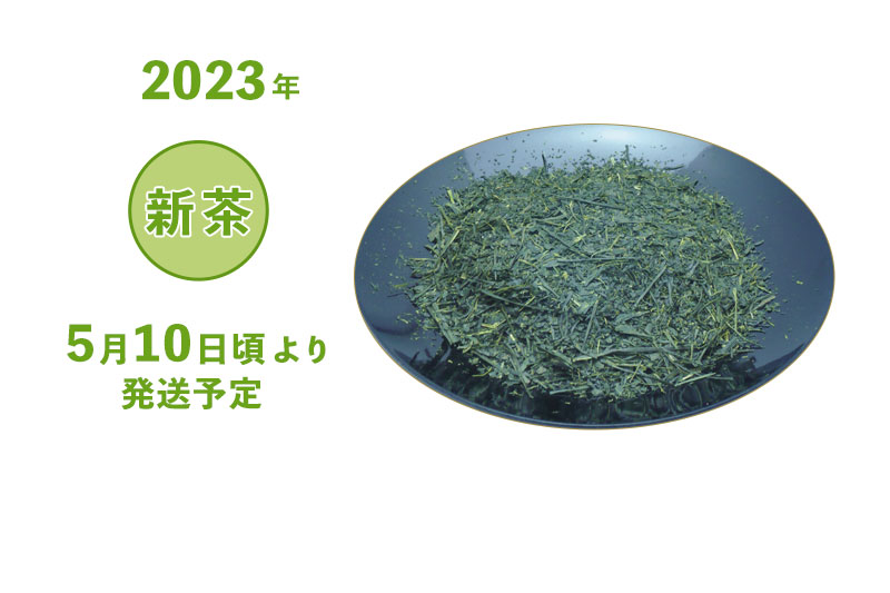 2023年 静岡牧之原 新茶 深蒸し茶 上煎茶 芳緑 袋詰め 100g・200g・500g 5/10頃より発送