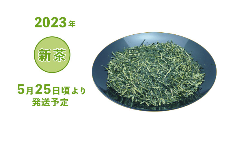 2023年 静岡牧之原 新茶 深蒸し茶 特撰くき茶 袋詰め 100g・200g・500g 5/25頃より発送