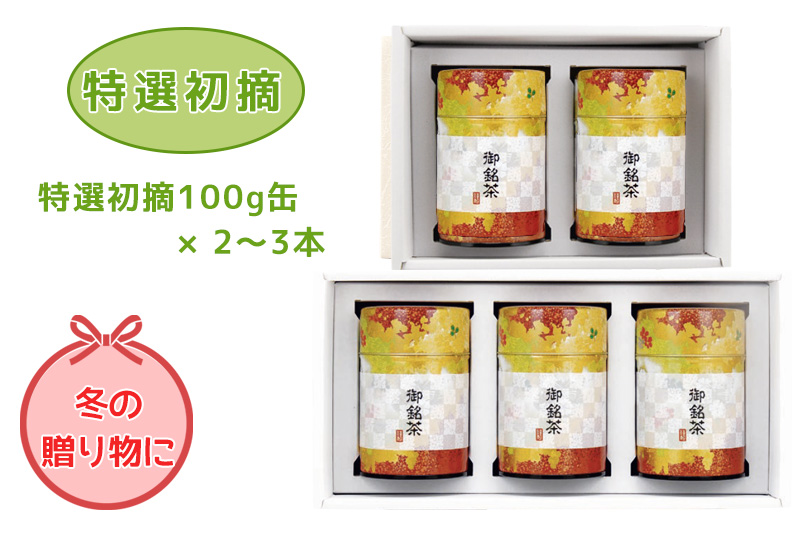 贈答用お茶（静岡茶・牧之原茶）特選初摘100g缶×2~3本