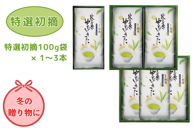 お歳暮 贈答用お茶（静岡茶・牧之原茶）特選初摘 100g袋1本箱入~３本詰合せ