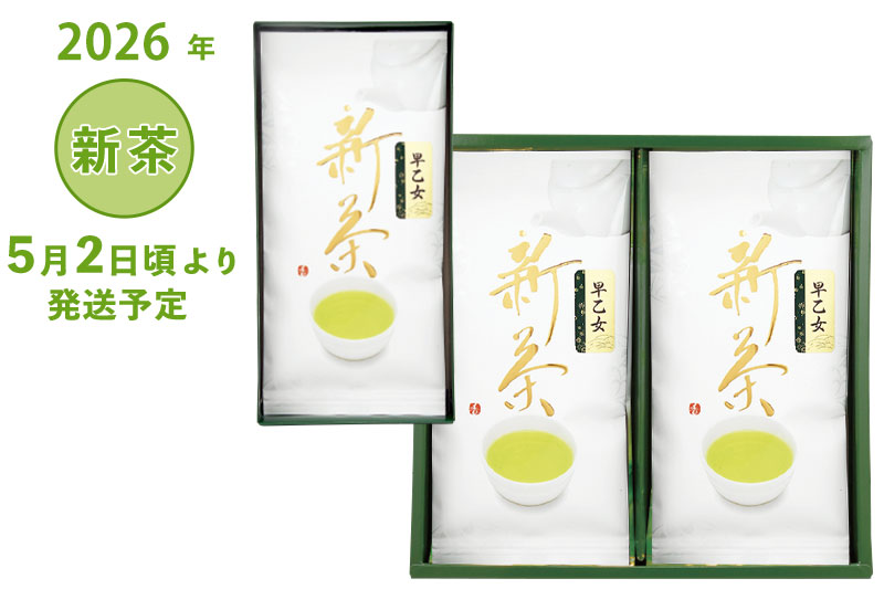 2026年 静岡牧之原 新茶 深蒸し茶 早乙女 100g袋1本箱入り〜2本詰合せ 5/2頃より発送