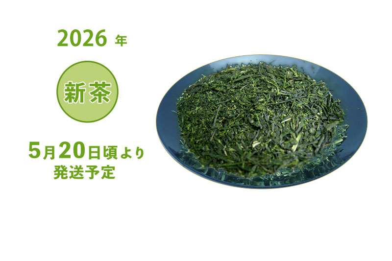 2026年 静岡牧之原 新茶 深蒸し茶 煎茶 浜千鳥 袋詰め 100g・200g・500g 5/20頃より発送