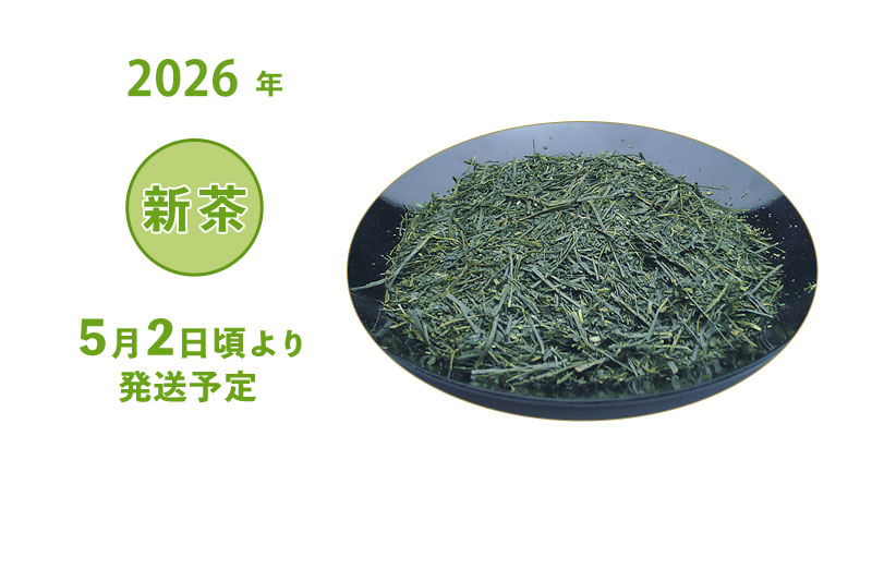 2026年 静岡牧之原 新茶 深蒸し茶 特上煎茶 早乙女 袋詰め 100g・200g・500g 5/2頃より発送