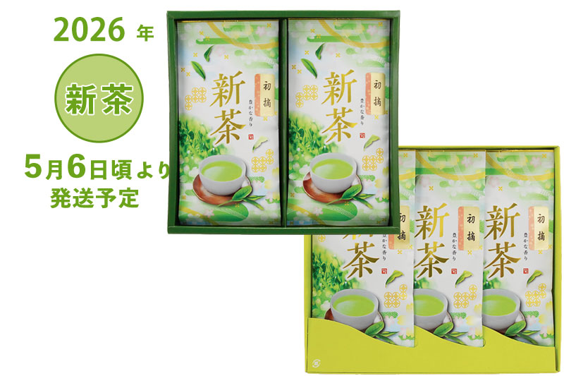 2026年 静岡牧之原 新茶 深蒸し茶 初摘100g袋2〜3本詰合せ(箱入) 5/6頃より発送